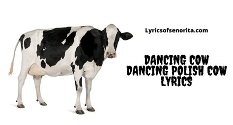 polish cow song lyrics|polish cow lyrics version.